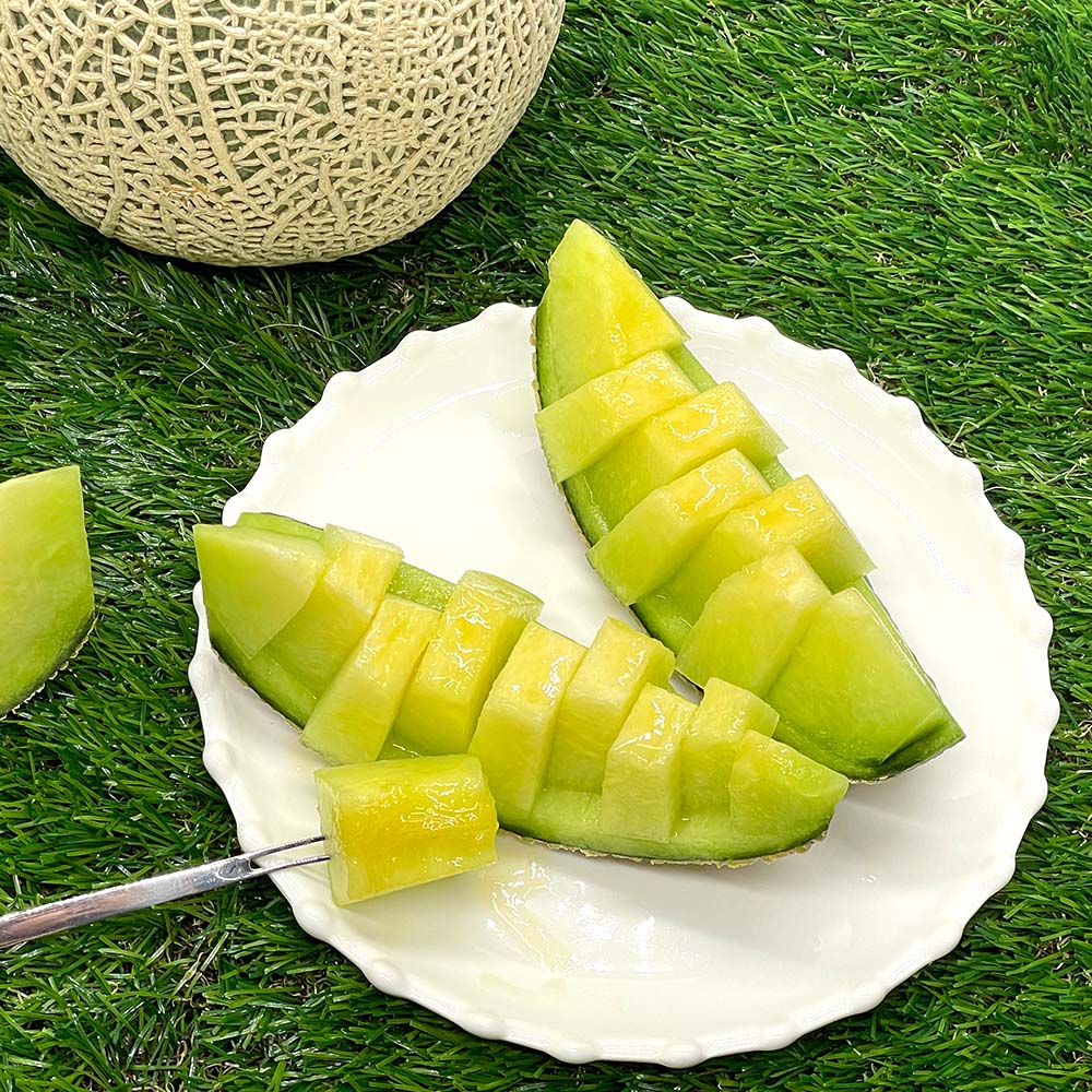 고당도 국내산 제철 머스크 멜론 1.2kg+1.2kg 2수 - 상세 이미지 2