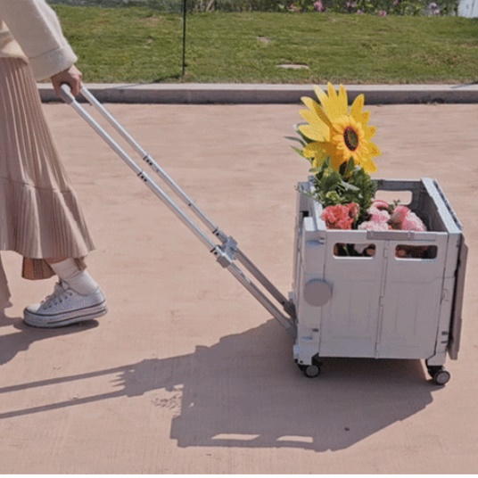 가정용접이식카트 캠핑핸드카 캠핑용구루마 대형 접이식핸드카