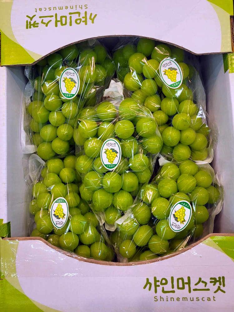 https://shop-phinf.pstatic.net/20230910_64/1694308626955bWaXB_JPEG/14662354828336346_1684219777.jpg?type=o1000
