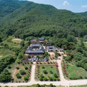 한국  서울  봄 시즌 | 안동 하회마을 일일투어 솔직 후기 | 실사용자 리뷰 분석 - 상품 이미지 3