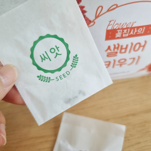 샐비어키우기 사루비아 씨앗 재배 키트 이미지 7