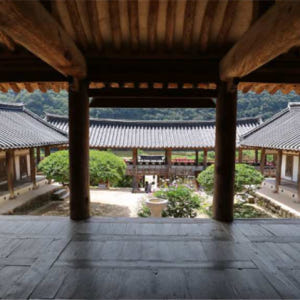 한국  서울  봄 시즌 | 안동 하회마을 일일투어 솔직 후기 | 실사용자 리뷰 분석 - 상품 이미지 4