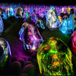 일본 teamLab Planets TOKYO DMM 입장권 솔직 후기 | 실사용자 리뷰 분석 - 상품 이미지 2