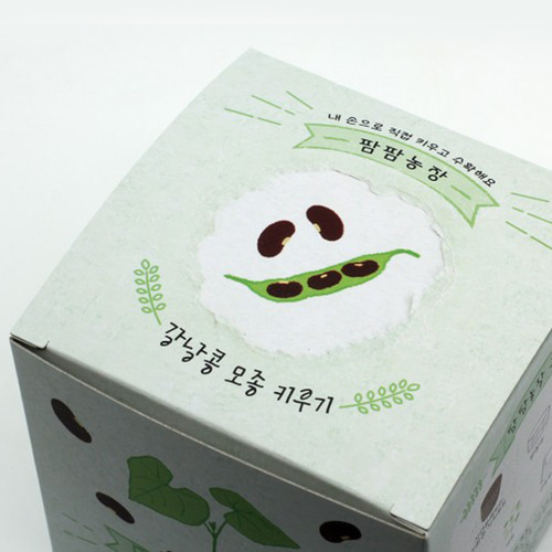 강낭콩키우기 유아 관찰일지 포함 식물 키트 씨앗 이미지 8
