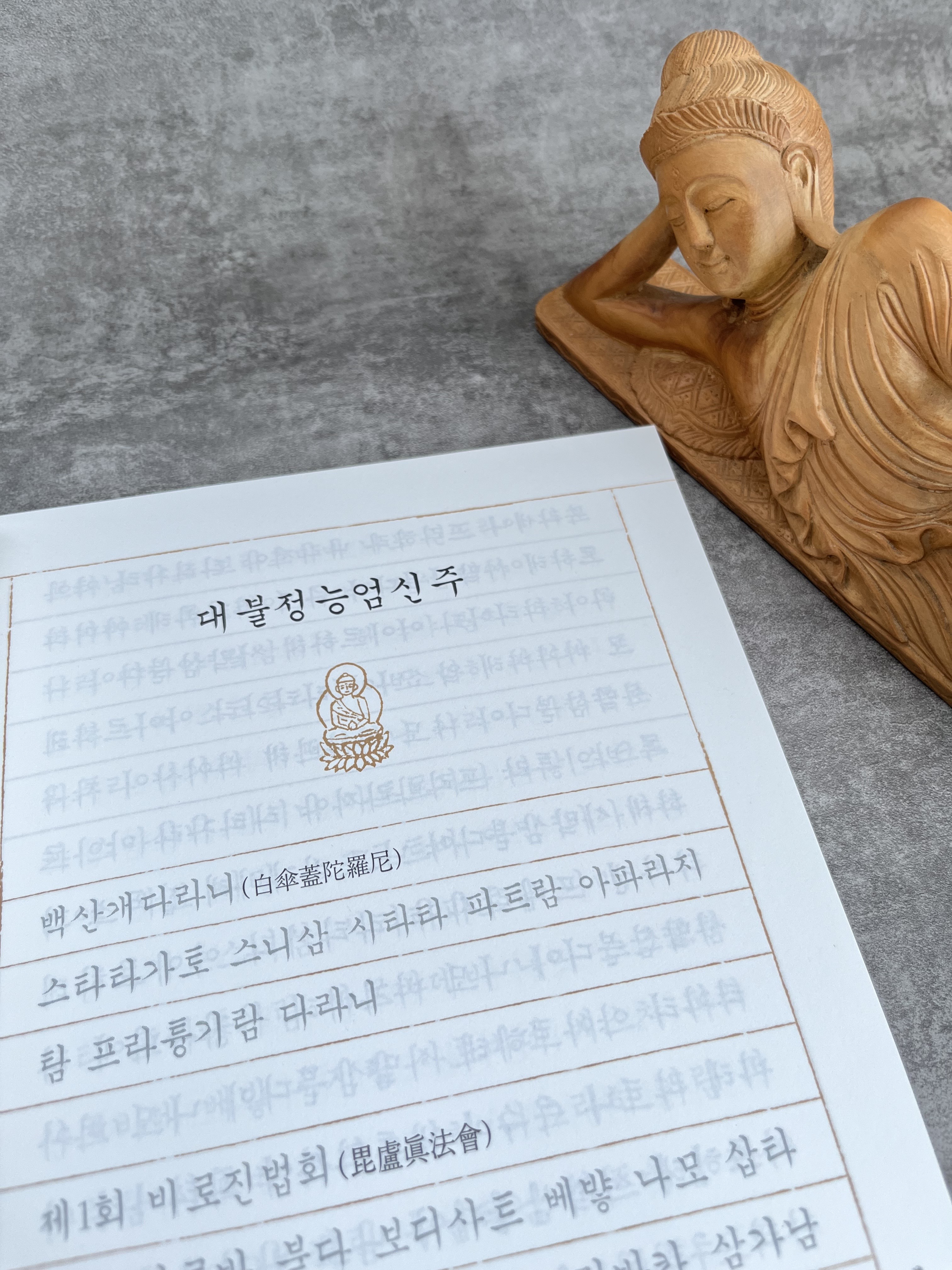 대불정능엄신주기도집 수첩 대불정능엄신주 사경책 불경 불교 따라쓰기 사경 기도 상품 이미지