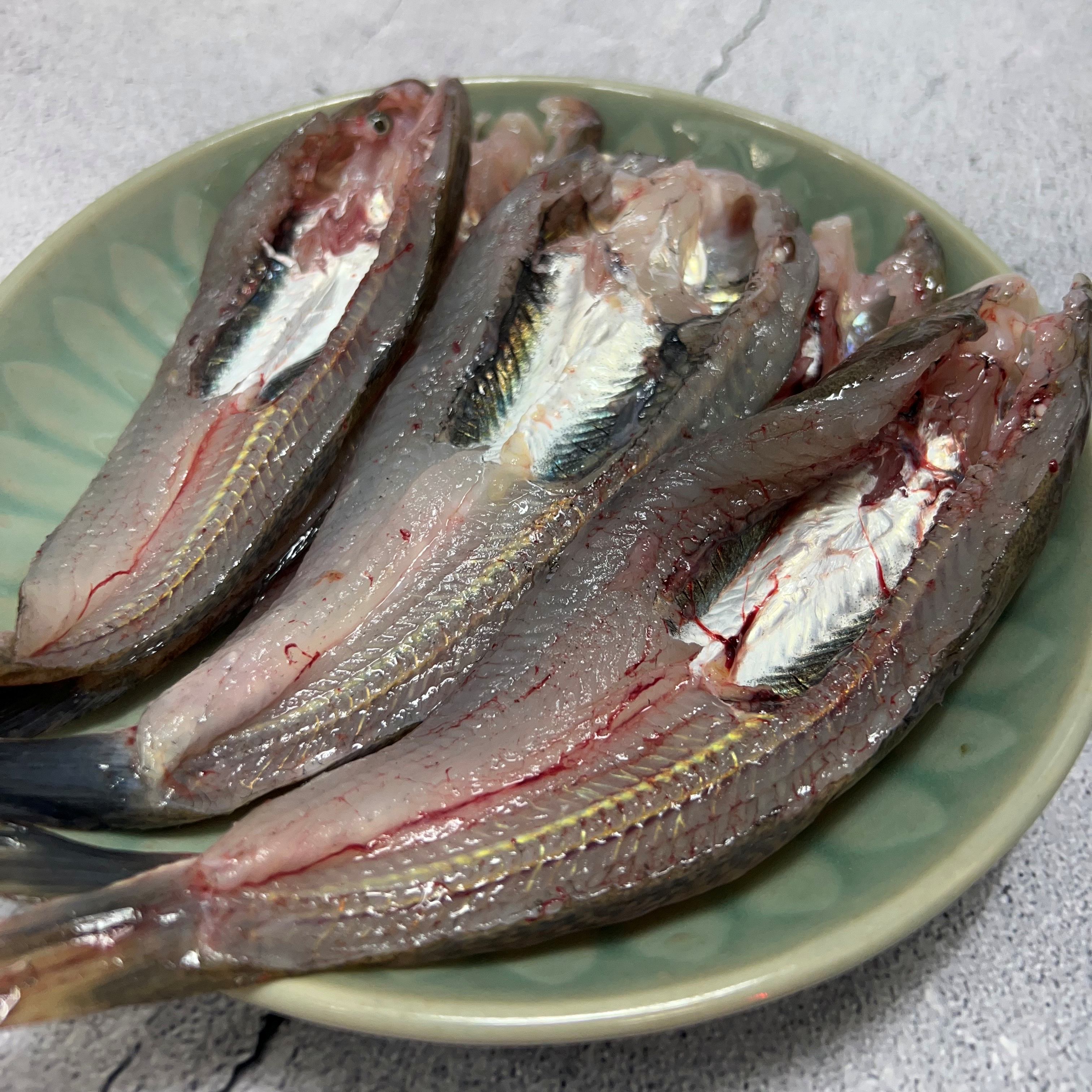 망둥이 망둥어 1kg 문절이 운저리 망둑어 망둥이회 망둥어구이 미끼용 - 상품 이미지