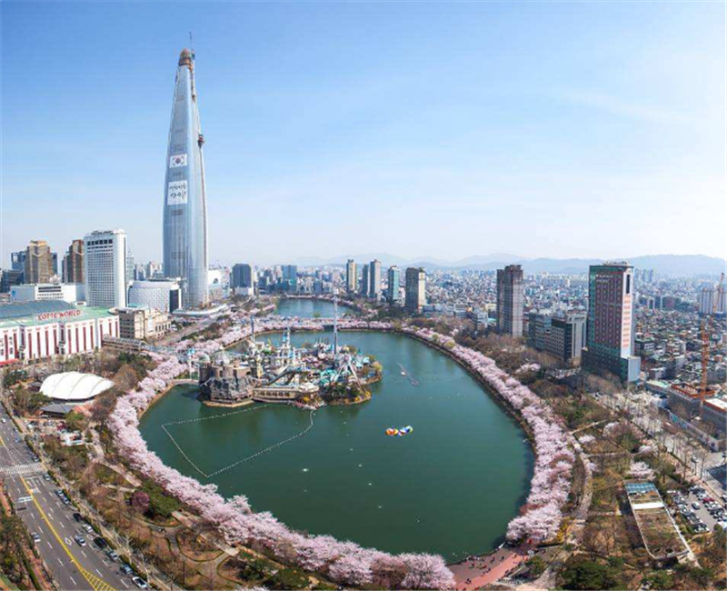 한국 서울 | 강남 벚꽃 투어 이미지 2