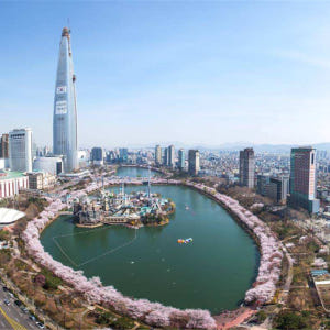 한국  서울 | 강남 벚꽃 투어 솔직 후기 | 실사용자 리뷰 분석 - 상품 이미지 2