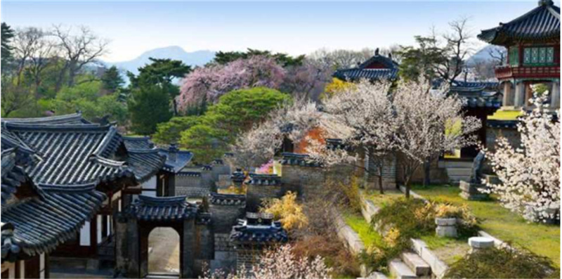한국   [2023 벚꽃 투어] 강북구 반나절 투어 | 서울 이미지 2