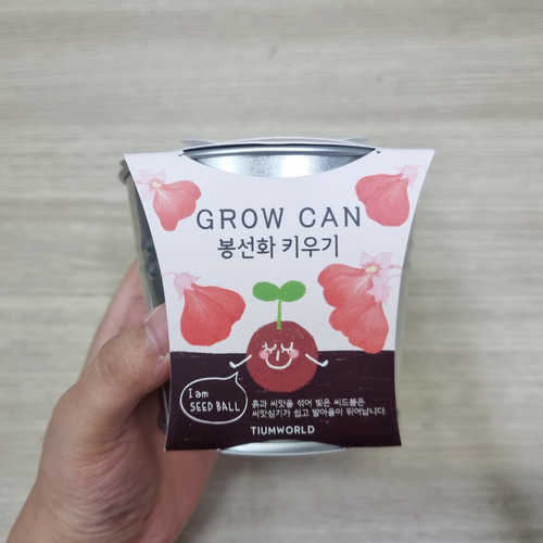봉선화 키우기 씨드볼 식물키트 초보자 세트 - 상세 이미지 5