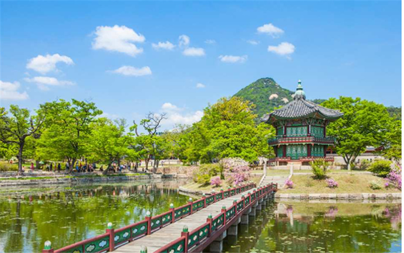 한국   [2023 벚꽃 투어] 강북구 반나절 투어 | 서울 이미지 3