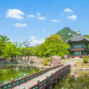 한국   [2023 벚꽃 투어] 강북구 반나절 투어 | 서울 솔직 후기 | 실사용자 리뷰 분석 - 상품 이미지 3