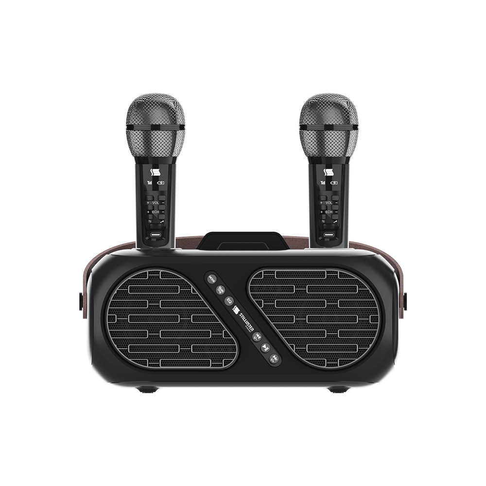 슈틸루스터 노래방 무선 듀얼 마이크 미러볼 포함 ST-DM100