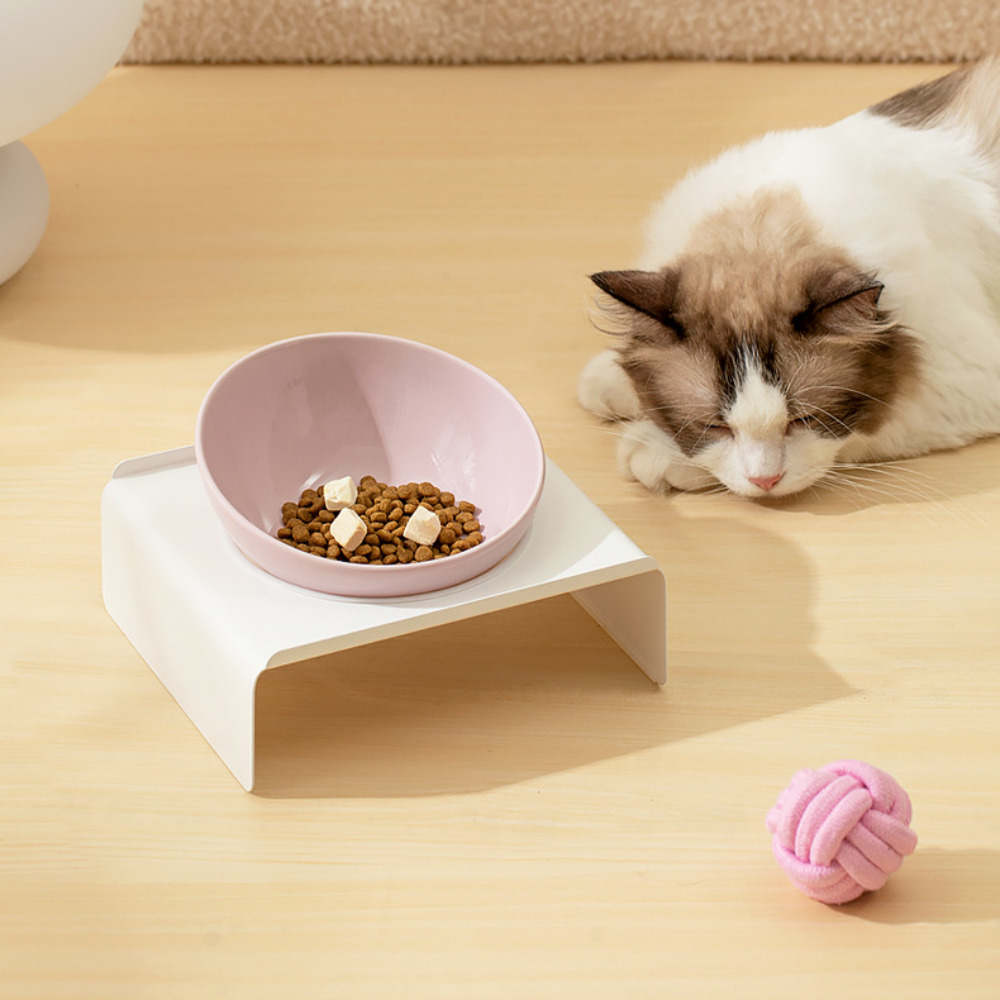 펫트너스 그랑프랑 강아지 식기 고양이 밥그릇