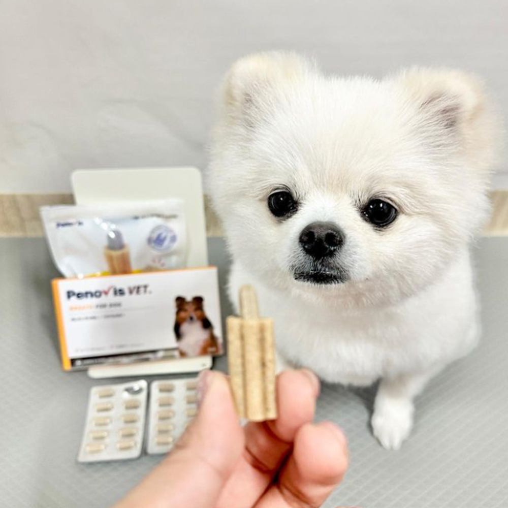 페노비스 강아지 기관지 영양제 기침 면역 호흡기 협착증 켁켁거림 30캡슐, 1개 - 상세 이미지 3