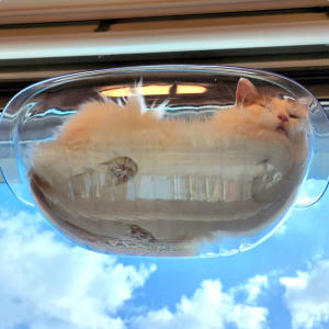 업그레이드 랩캣 고양이 투명 창문 해먹 윈도우 침대 솔직 후기 | 실제 사용자 리뷰 총정리 - 상품 이미지 3