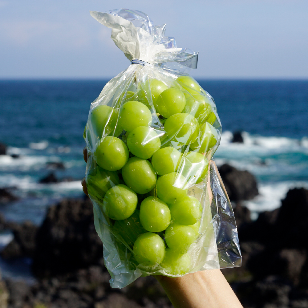[농할20%] 국내산 샤인머스켓 1.6kg - 상세 이미지 2