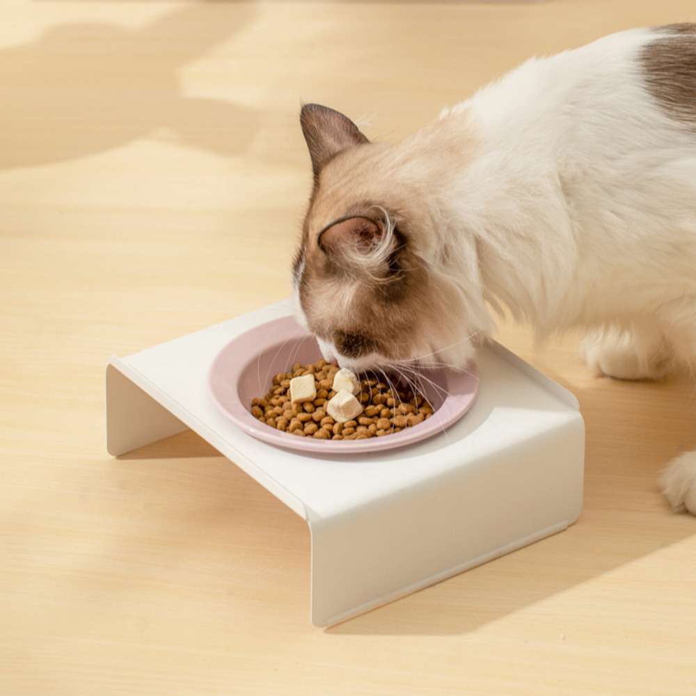 펫트너스 그랑프랑 강아지 식기 고양이 밥그릇