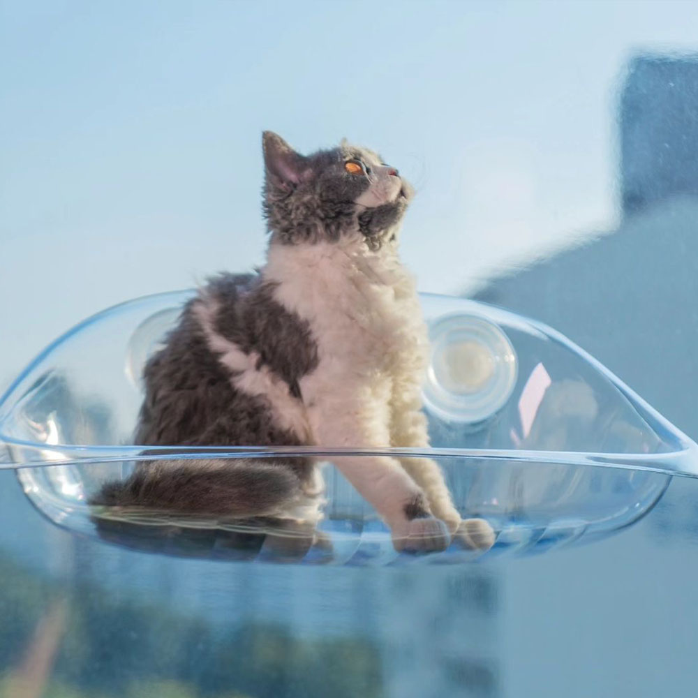 업그레이드 랩캣 고양이 투명 창문 해먹 윈도우 침대 솔직 후기 | 실제 사용자 리뷰 총정리 - 대표 이미지