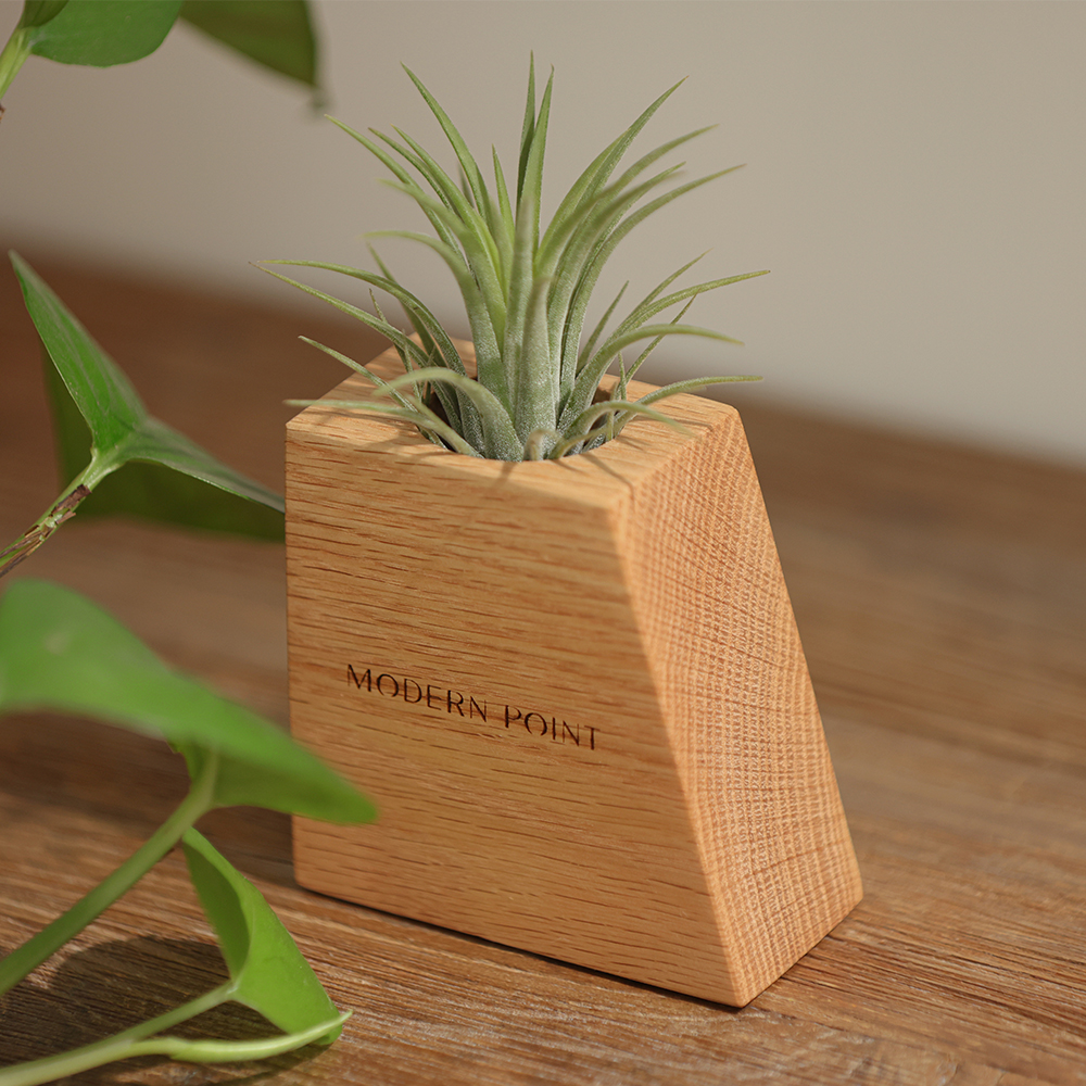 원목 각인 실내공기정화식물 틸란드시아 이오난사 화분 A타입