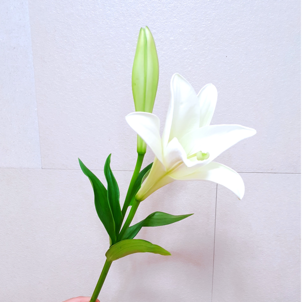 백합 꽃 우리타워 3줄기 우아한 생화 꽃다발 배송 택배 배달 싼곳 양재꽃시장 꽃선물 - 상세 이미지 3