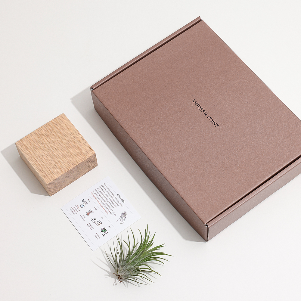 원목 각인 실내공기정화식물 틸란드시아 이오난사 화분 A타입