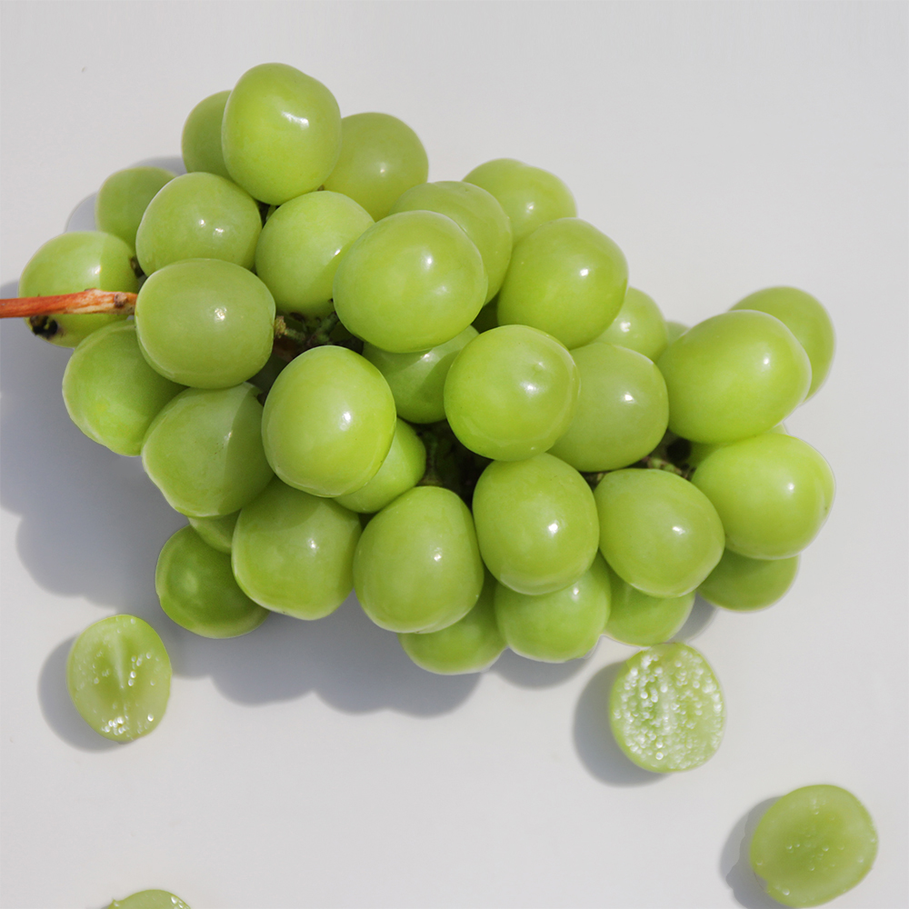 샤인머스켓 2kg(망고포도) 3수,4수 - 상세 이미지 4