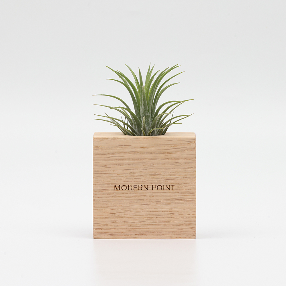 원목 각인 실내공기정화식물 틸란드시아 이오난사 화분 A타입