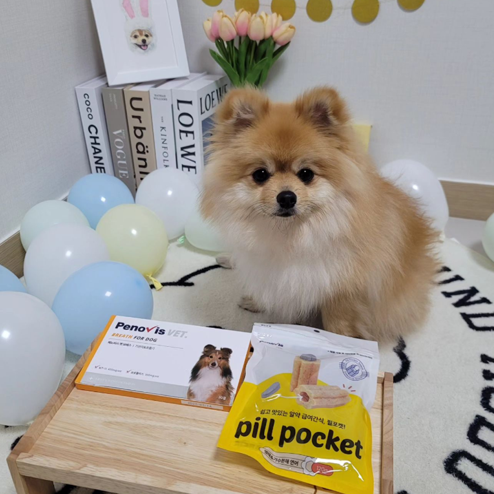 페노비스 강아지 기관지 영양제 기침 면역 호흡기 협착증 켁켁거림 30캡슐, 1개 - 상세 이미지 5