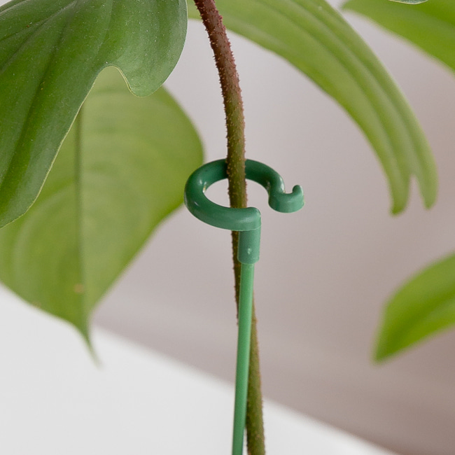 오링 식물지지대 화초 화분지지대 꽃 지주대 5개SET 17cm 제품 이미지