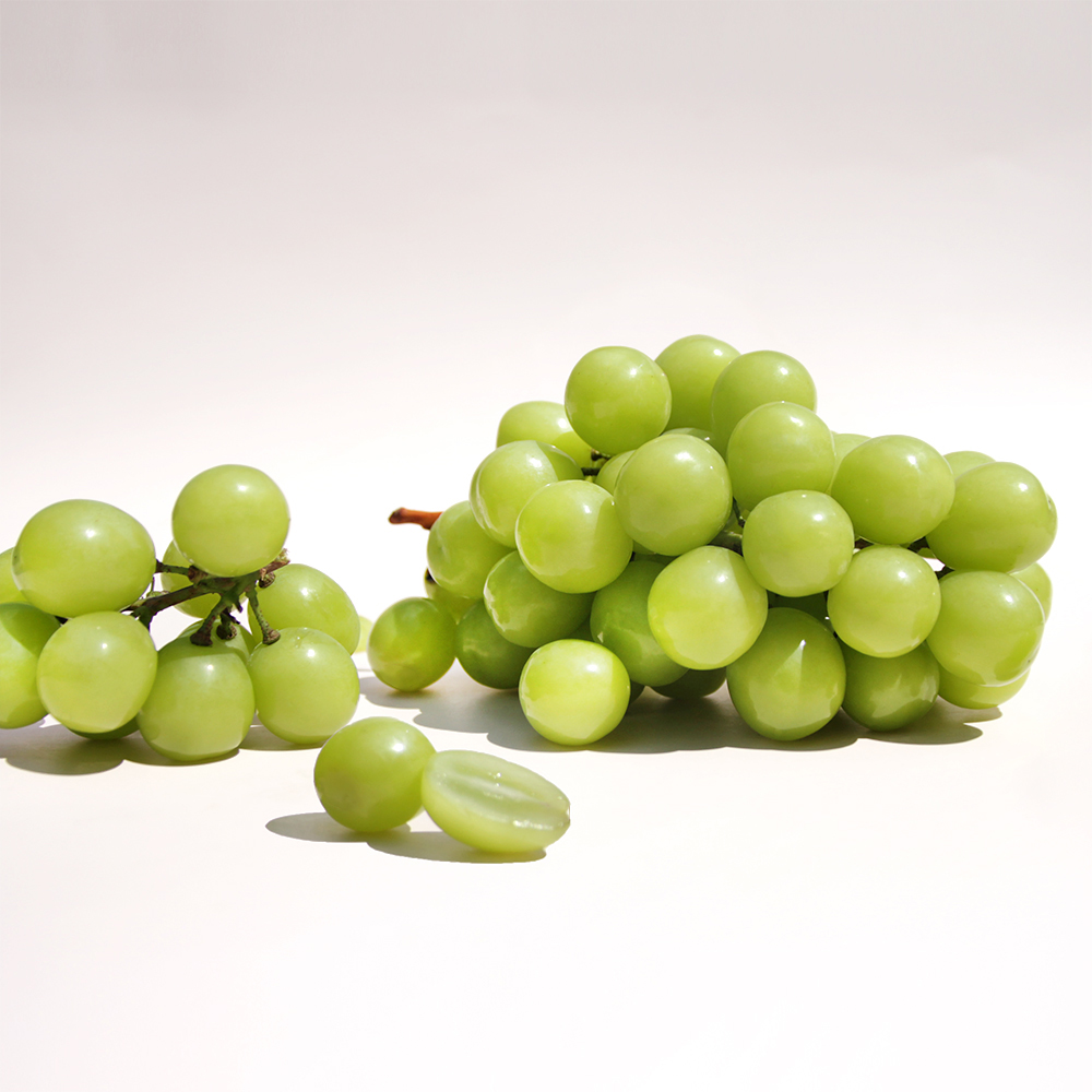 샤인머스켓 2kg(망고포도) 3수,4수 이미지 7