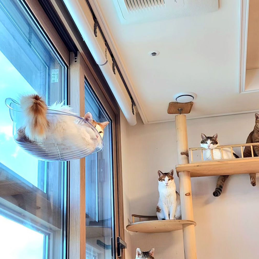 업그레이드 랩캣 고양이 투명 창문 해먹 윈도우 침대 이미지 4