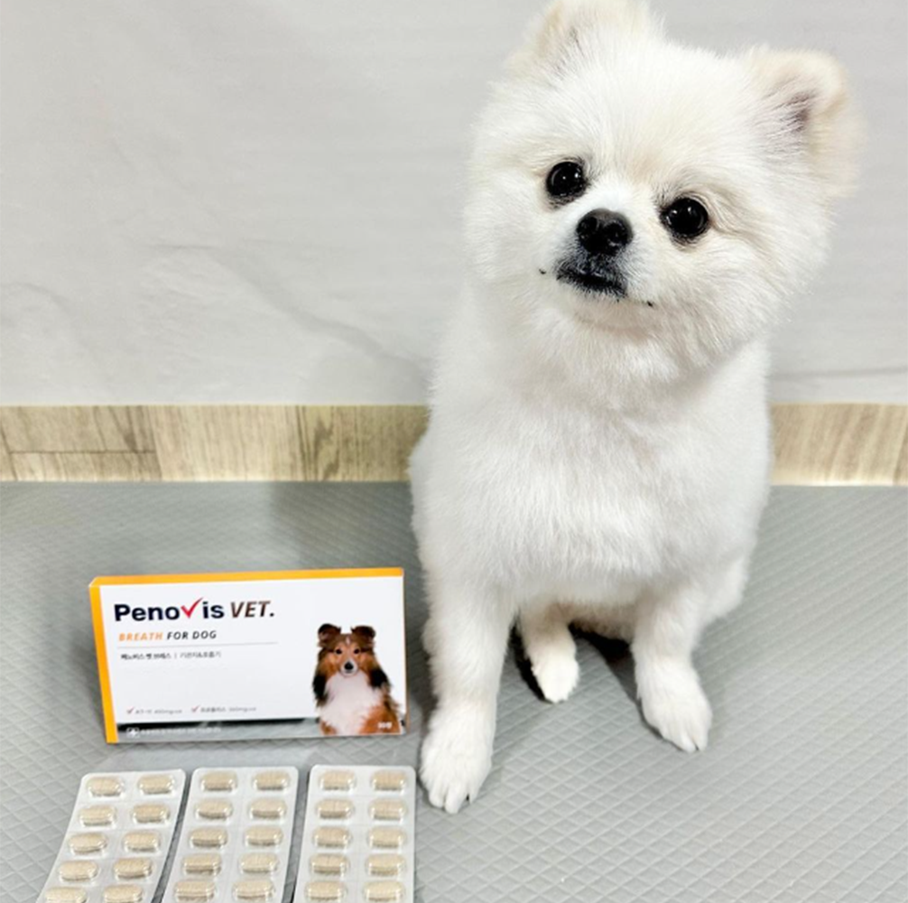 페노비스 강아지 기관지 영양제 기침 면역 호흡기 협착증 켁켁거림 30캡슐, 1개 - 상세 이미지 2