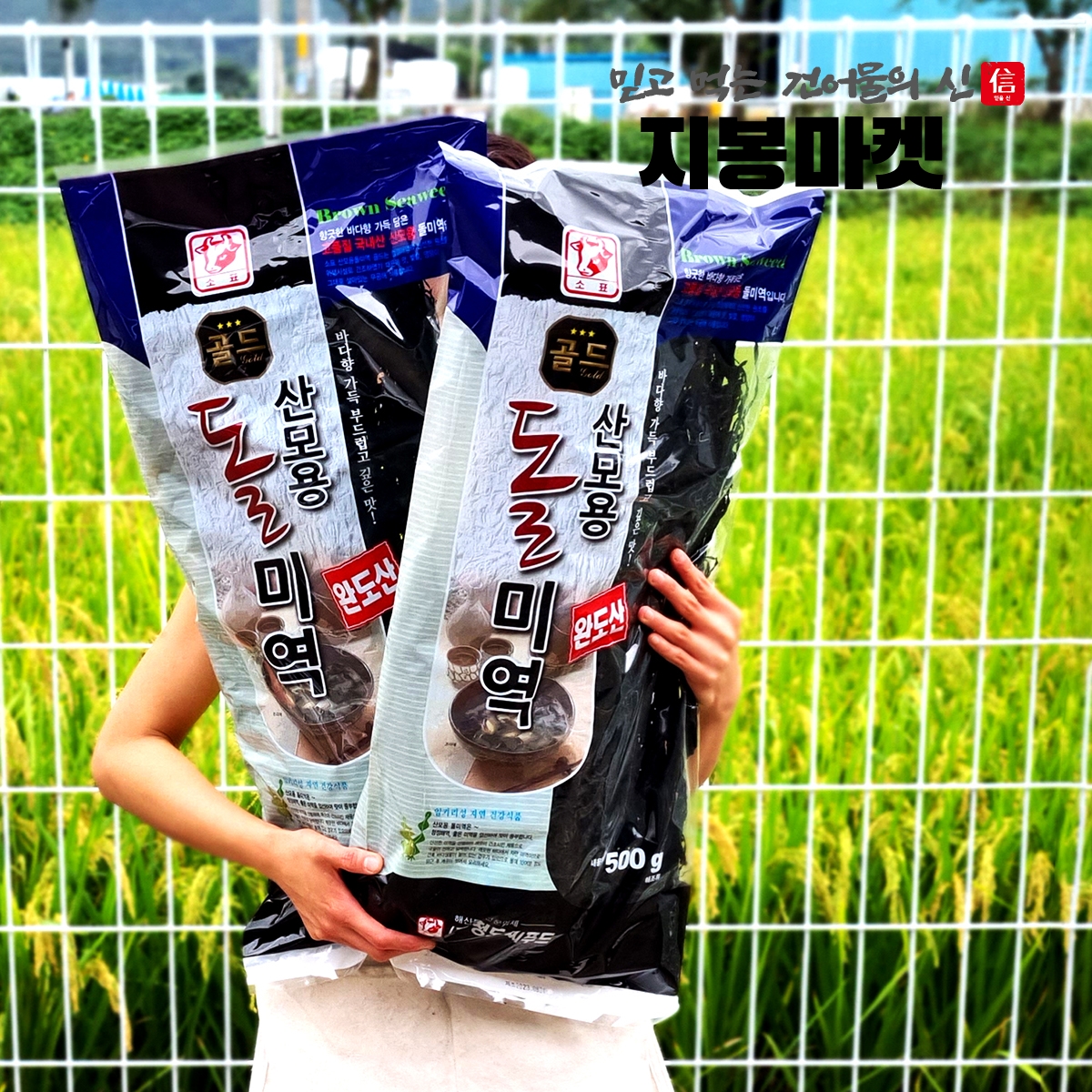 완도미역 500g 대용량 자연산 산모미역 돌미역 건미역