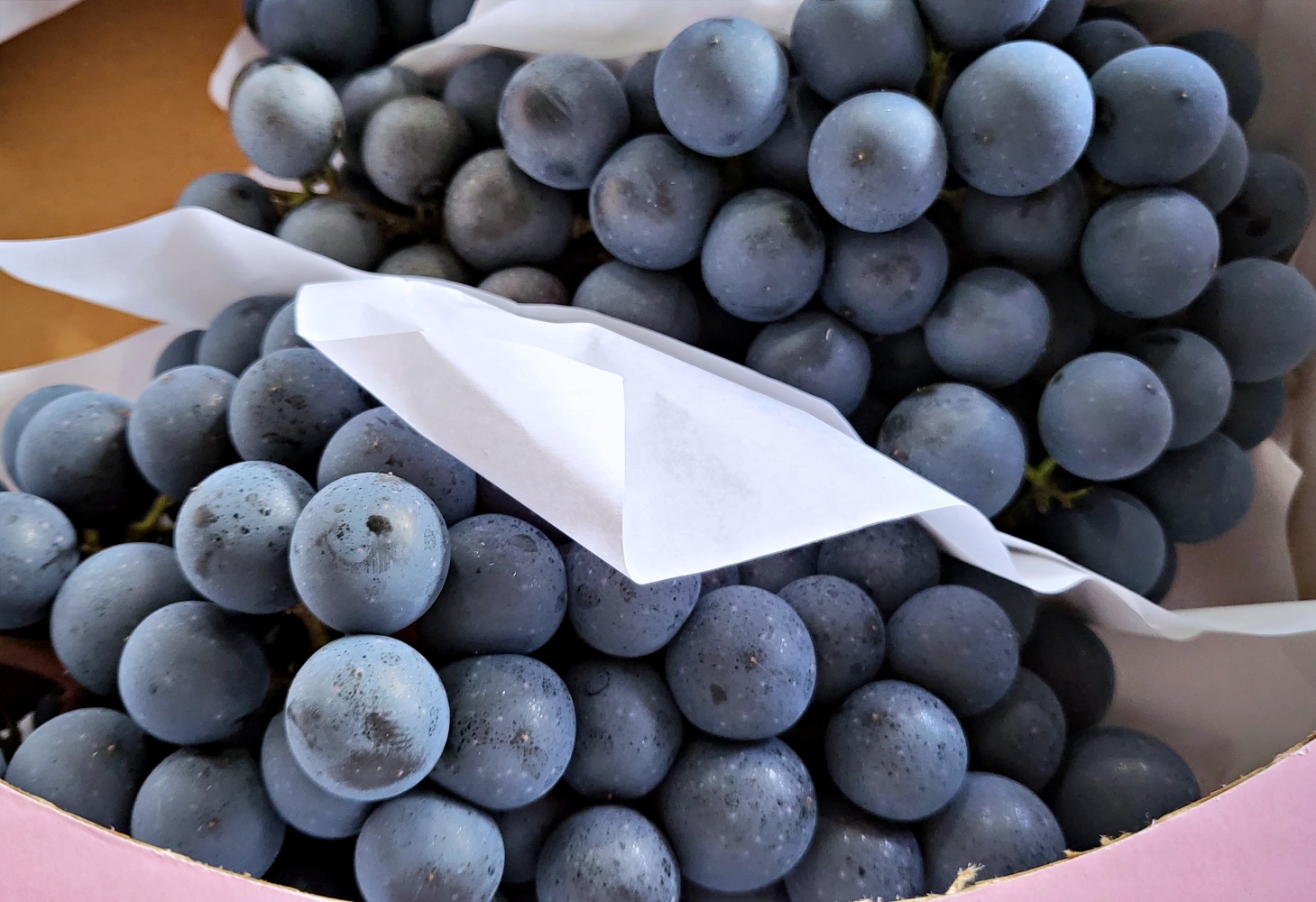 머루포도 1kg 2kg 3kg 경산 영천 영동 - 상세 이미지 2