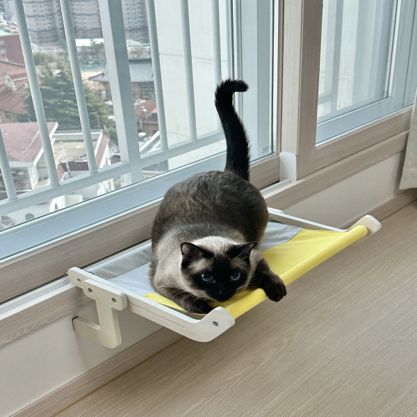 아텍스 고양이 해먹