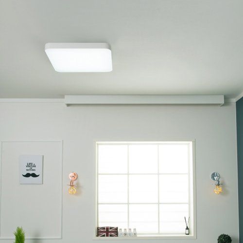 LED 방등 커브드 화이트 시스템 방등 50W 밀착형