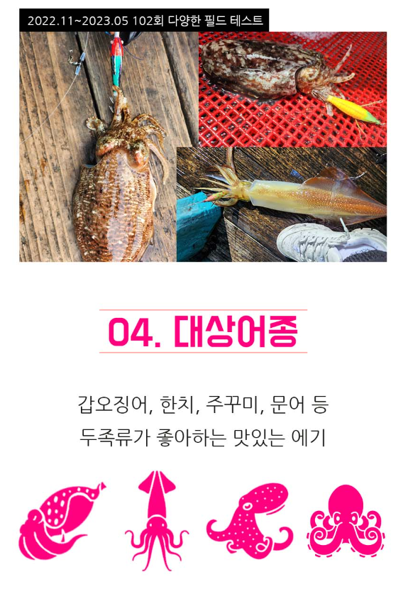 카포스 세네에기 쎄네에기 자연어 쭈꾸미 갑오징어 문어 에기 케이무라 수평 애기 이미지 6