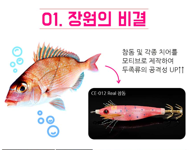 카포스 세네에기 쎄네에기 자연어 쭈꾸미 갑오징어 문어 에기 케이무라 수평 애기 - 상세 이미지 3