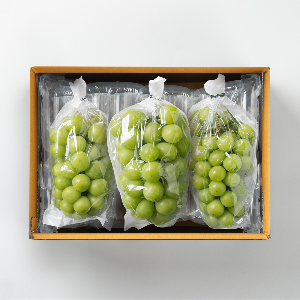 제철 샤인머스켓 포도 망고포도 선물세트