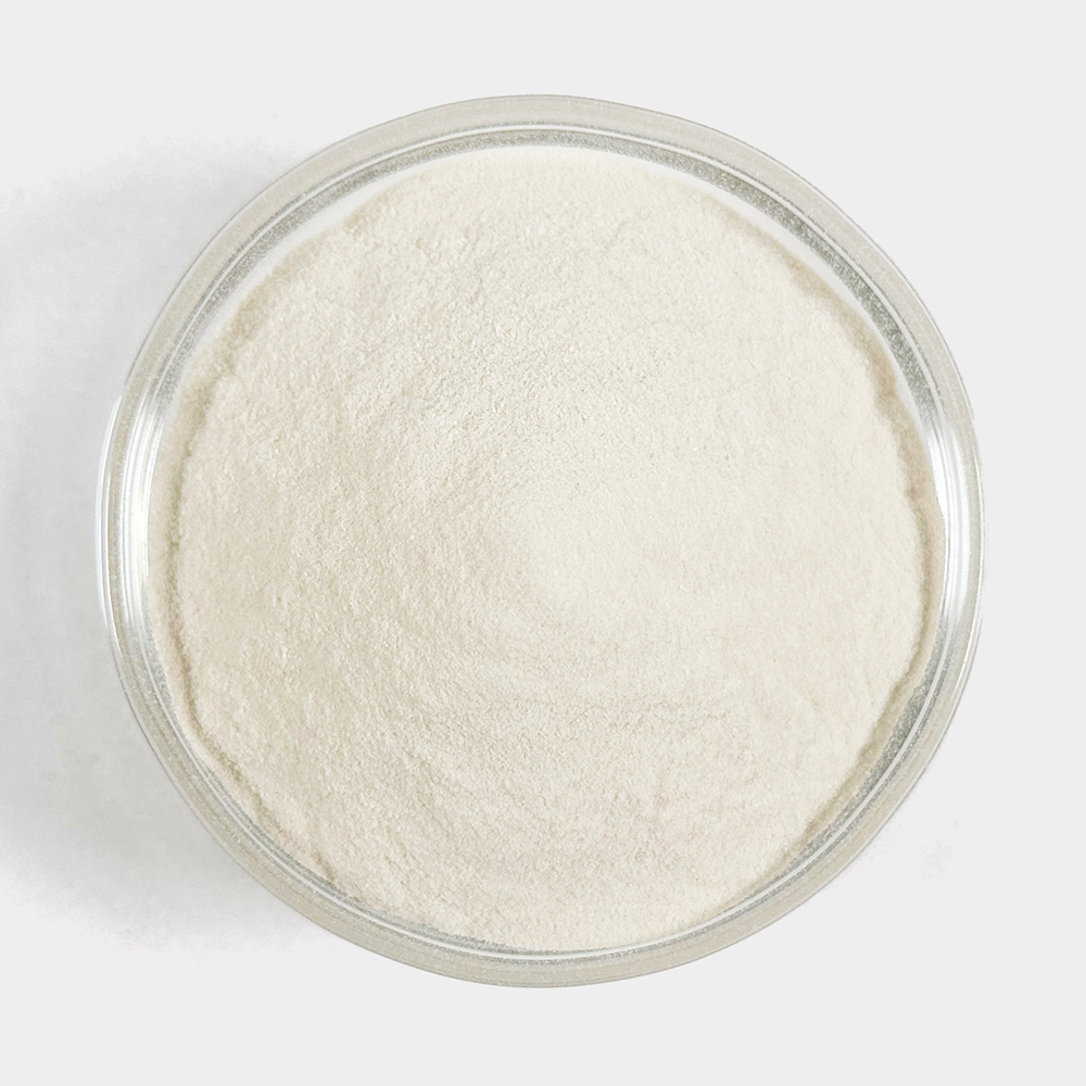 한천가루 한천분말 500g - 상세 이미지 3