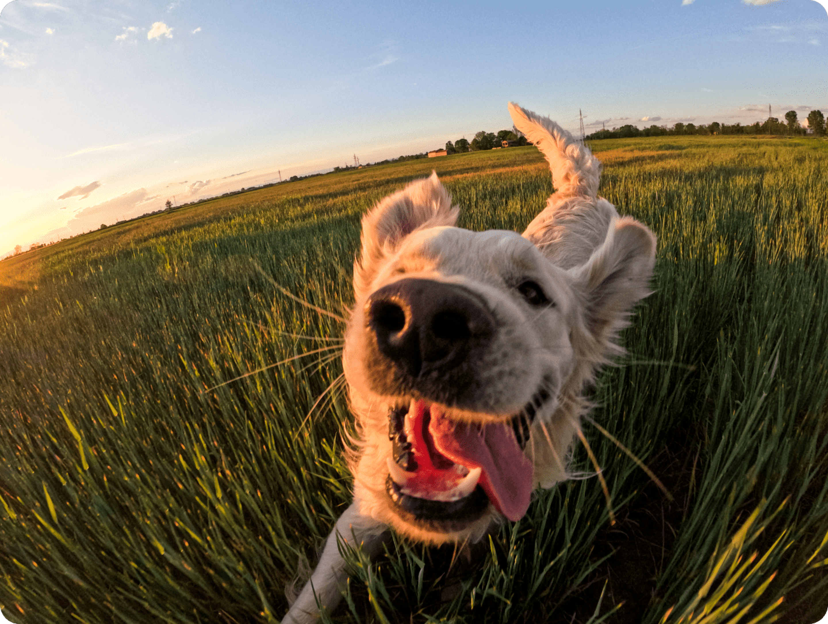 [대여/24시간 공항수령 반납] 고프로12 대여 렌탈 액션캠 풀패키지 인천공항 렌트 1일 상세 이미지 6