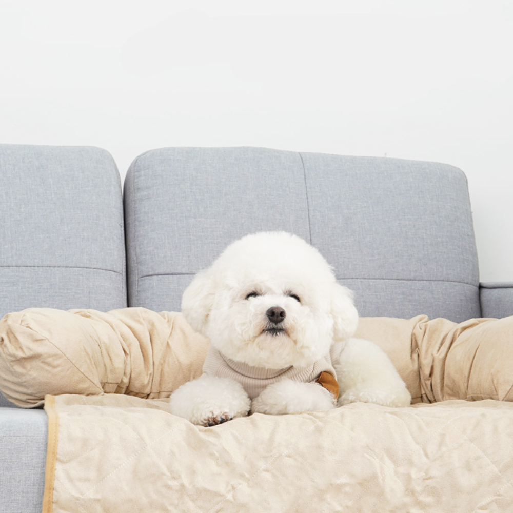 개과천선 펫 필로우 강아지 소파 커버 침대 고양이 중형견 애견 꿀잠 방석 매트 베이지 - 상세 이미지 3