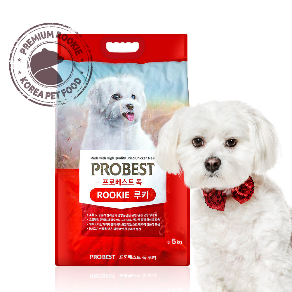 프로베스트 독 루키 강아지 5kg