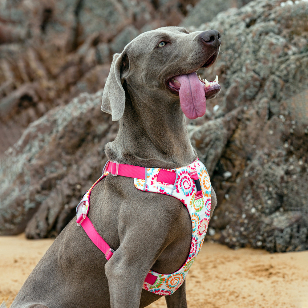 대형견하네스 강아지하네스 앞섬방지 가슴줄 중형견 H형 진돗개 S