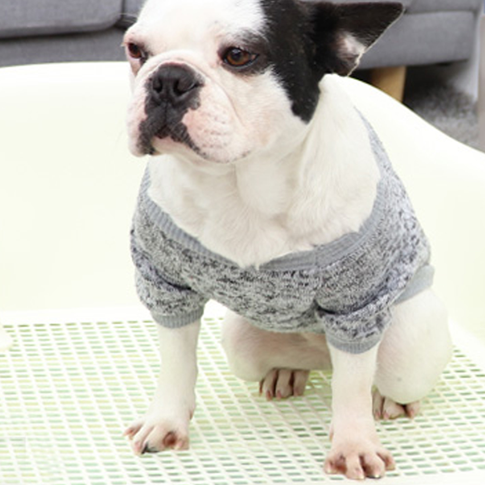 개과천선 프라에펫 강아지 배변판 배변매트 애견 화장실 그물망 트레이 논슬립 배변패드판 - 상세 이미지 2