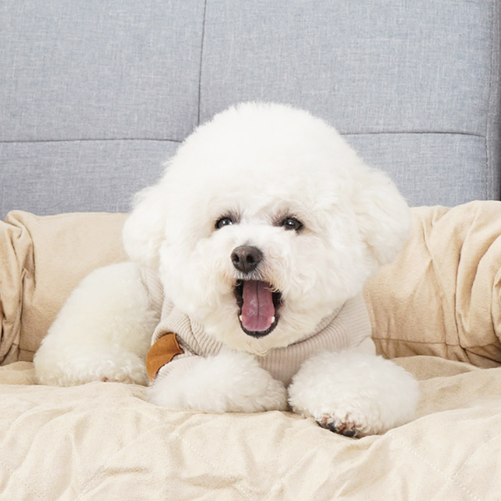 개과천선 펫 필로우 강아지 소파 커버 침대 고양이 중형견 애견 꿀잠 방석 매트 베이지 - 상세 이미지 4