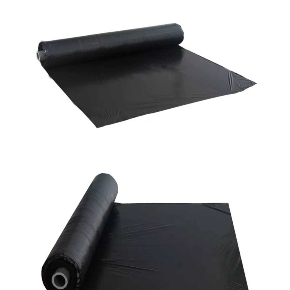 멀칭비닐 흑색120x200 텃밭 마늘 고추 감자 배추 필름 - 상세 이미지 2
