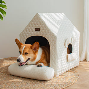 초코펫 에브리데이 하우스 속방석만 솔직 후기 | 실제 사용자 리뷰 총정리 - 상품 이미지 2