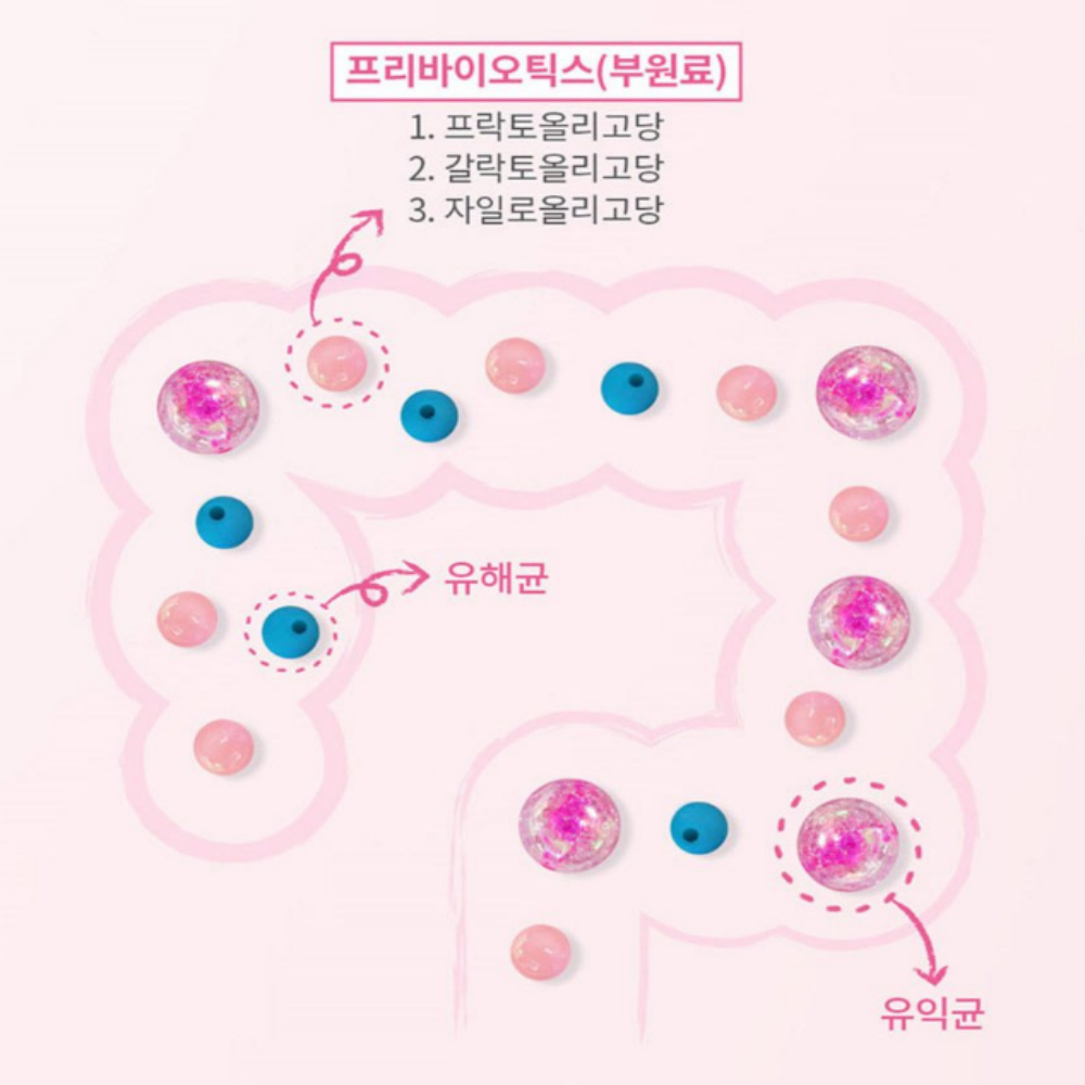 모유유래 프로바이오틱스 생유산균 100억 3박스 3개월분 락토바실러스가세리 코스트코 이미지 6